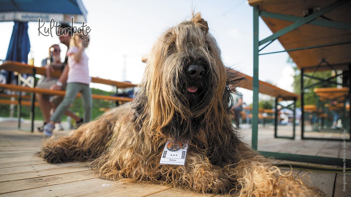 11. September | Django3000